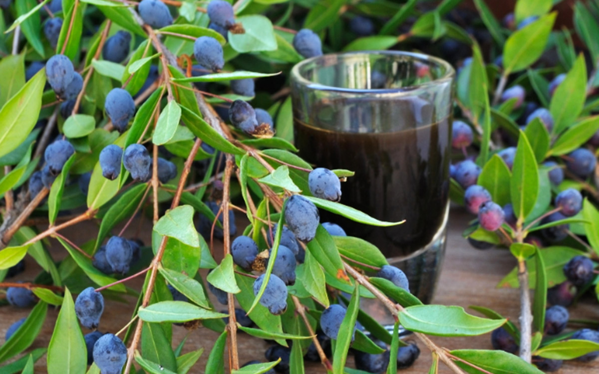 ricetta liquore mirto